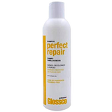 SHAMPOO PERFECT REPAIR - GLOSSCO PROFESSIONAL